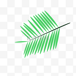 绿色植物椰树叶子免抠图