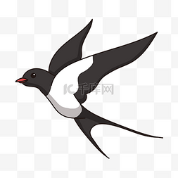 手绘展翅的燕子插画