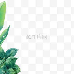植物边框插图图片_卡通绿色植物边框下载