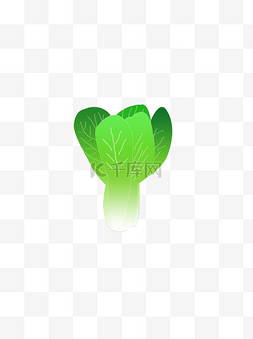 食物蔬菜元素小青菜小白菜绿色食