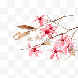 粉红色的花水彩画PNG免抠素材
