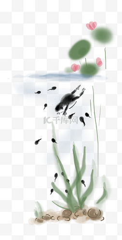 中国风手绘动物图片_手绘荷塘蝌蚪找妈妈