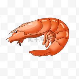 卡通手绘海鲜海洋生物大虾海虾