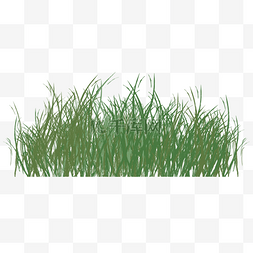 绿色的茂盛草丛插图