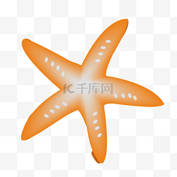 橙黄色海星矢量插画