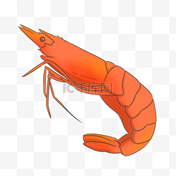 可爱的大虾图片_红色的大虾手绘插画