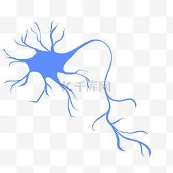 淋巴图片_矢量图蓝色细胞结构