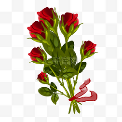玫瑰花一支图片_情人节红色玫瑰花