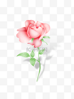 玫瑰手绘图片_小清新手绘矢量粉玫瑰花一支