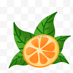 桔子橘子叶子
