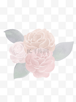 典雅手绘三朵玫瑰花