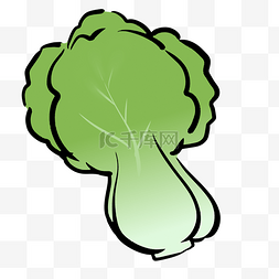 一颗扁平风格绿色青菜