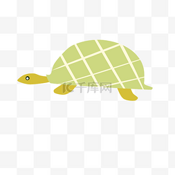 宠物海龟图片_海洋生物海龟