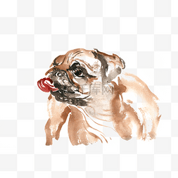 手绘写实宠物图片_舔舌头的小狗水彩画PNG免抠素材