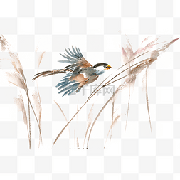 芦苇中的小鸟水彩画PNG免抠素材