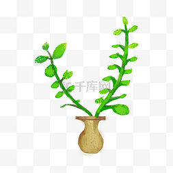 手绘藤曼植物插画