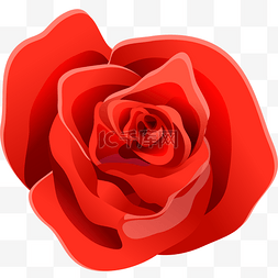 鲜红色睡衣图片_鲜红色卡通风格矢量玫瑰