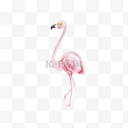 夏日手绘水彩图片_水彩粉色高雅的火烈鸟