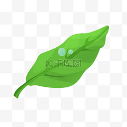 落水的绿色树叶插画