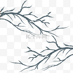 手绘冬天树梢树枝