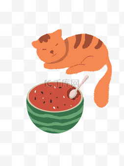 半个水果卡通图片_半个西瓜和睡觉的黄狸猫