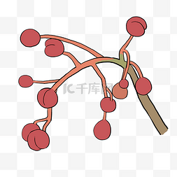 红色果子植物图片_手绘植物红色花椒果实