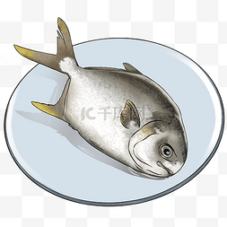 生鲜素材图片_一条新鲜的生鲜金昌鱼
