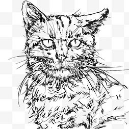 线描动物图案图片_帅气笔墨风格可爱猫咪手绘插画元