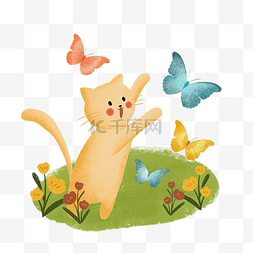 漂亮小猫图片_彩色蝴蝶翩翩起舞小猫快乐