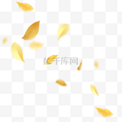 飘散杏叶图片_风吹散的落叶漂浮素材