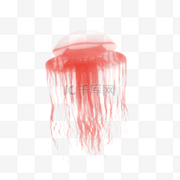 水彩红色透明水母