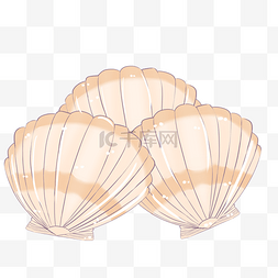 卡通海洋贝类图片_美味卡通贝壳装饰