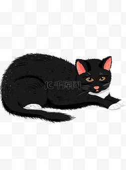 手绘黑色猫咪图片_可爱伸懒腰黑色猫咪装饰元素