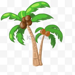 热带树木椰树插画