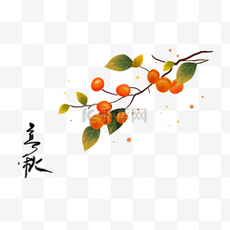 枫叶落叶的素材图片_立秋节气手绘金黄的柿子