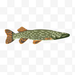 动物彩绘图案图片_手绘鱼卡通鱼造型