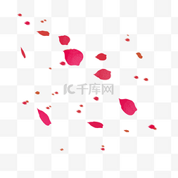 粉红色玫瑰花瓣图片_红色玫瑰花瓣装饰