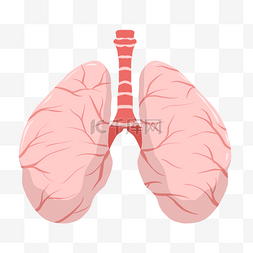卡通医学人体图片_人体器官肺手绘插画