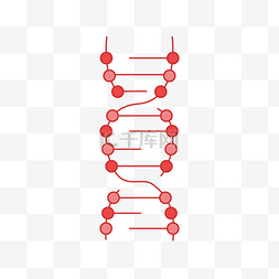 dna双螺旋图标图片_红色DNA双螺旋基因链图形