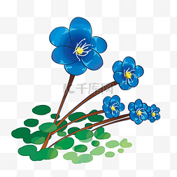 蓝色花卉花朵