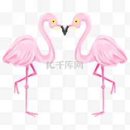 粉色伴侣美丽火烈鸟