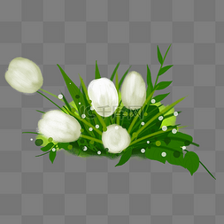 白色花绿色叶子图片_春天绿色叶子和花