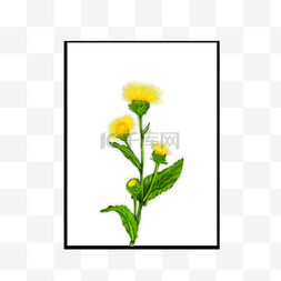 室内卡通图片_黄色花卉墙画矢量元素