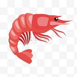 手绘海鲜大虾插画