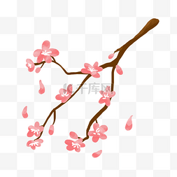 日本樱花植物图片_日本樱花卡通插画