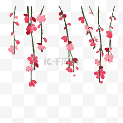 樱花树插图图片_粉色垂吊的樱花枝