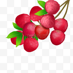 红硬图片_果水果果子荔枝晶莹剔透
