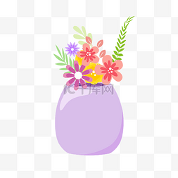 紫色盆栽小花花朵