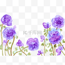 紫罗兰植物背景底纹