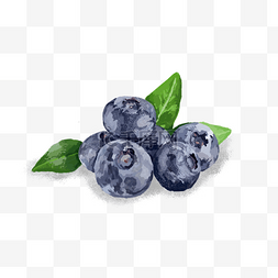 手绘写实叶子图片_卡通写实手绘水果蓝莓插画PNG免费